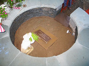 image19_jpg